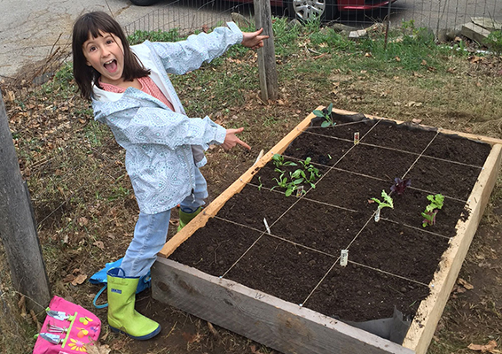 Box Gardening